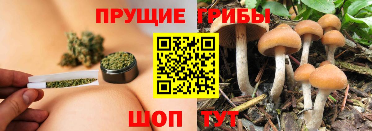 Шали  Галлюциногенные грибы MAGIC MUSHROOMS  купить закладку  Вход с VPN 