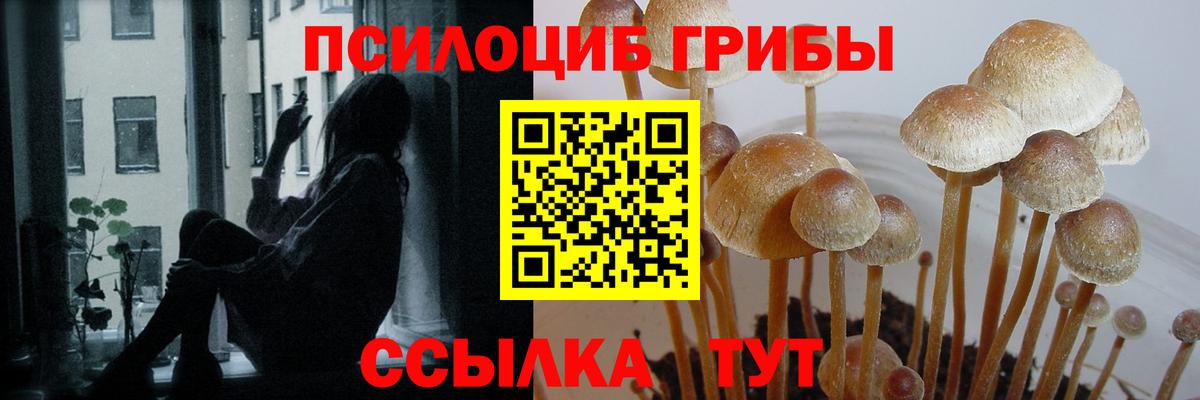 Галлюциногенные грибы прущие грибы Шали